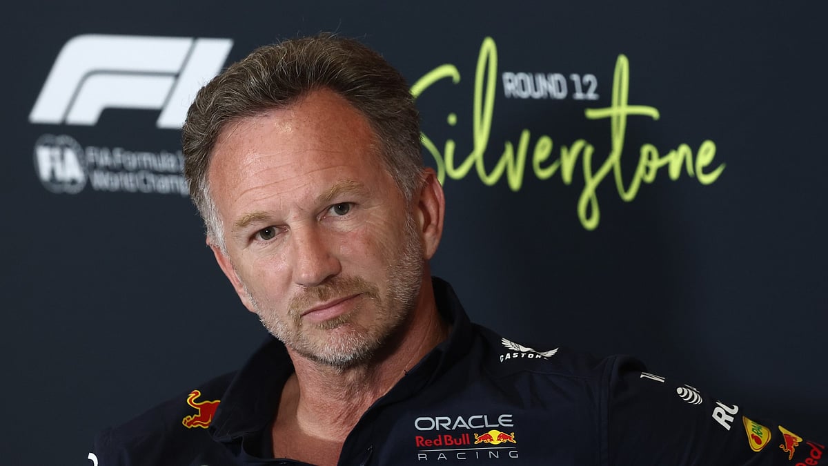Former Red Bull team principal Christian Horner