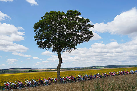 Tour de France cycling 2025: Fourth Stage Race