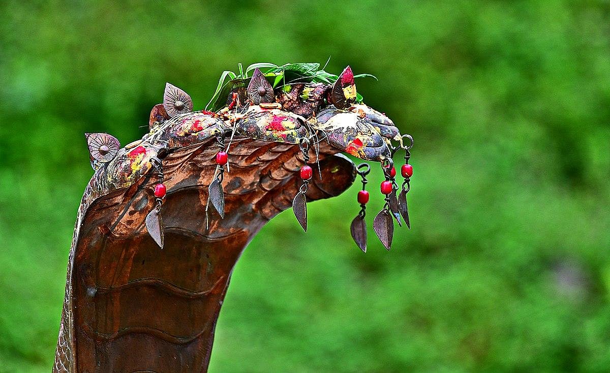 Naag Panchami Rituals: Unique Traditions Across India