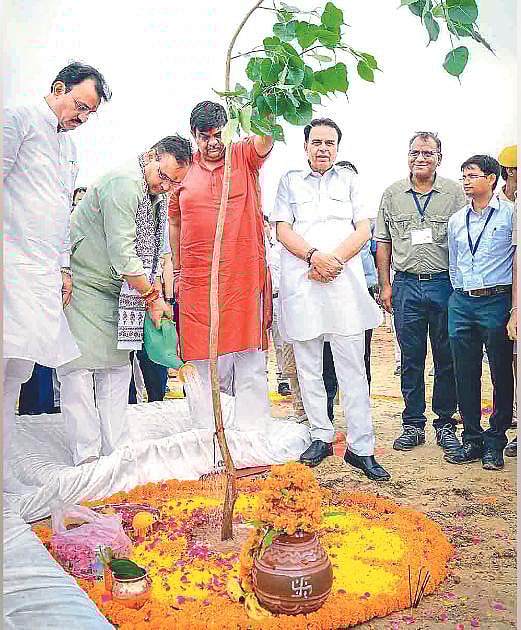 Planting Trees And Swinging With Nature: Eco-Friendly Teej Practices For Today
