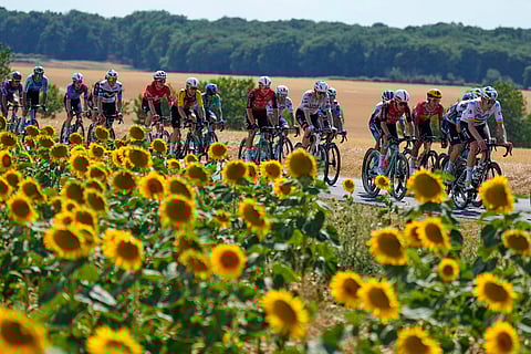 Tour de France cycling race: Stage 9