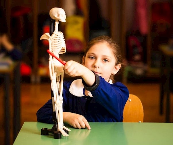 A Growing Worry For Parents: New Study Links Childhood Diabetes And Obesity To Lifelong Bone Damage