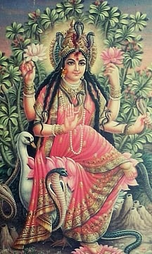The Untold Story Of Manasa Devi: The Snake Goddess Who Fought For Divine Recognition