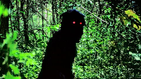 Uncle Boonmee Who Can Recall His Past Lives