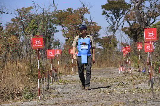 Prince Harry Follows Diana's Footsteps In Clearing Angola Landmines