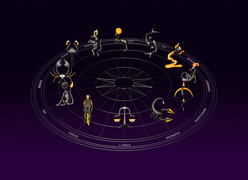 Horoscope Today, July 19, 2025: What’s in Store for Leo, Scorpio, Pisces & More