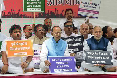 Protest against stray dog menace