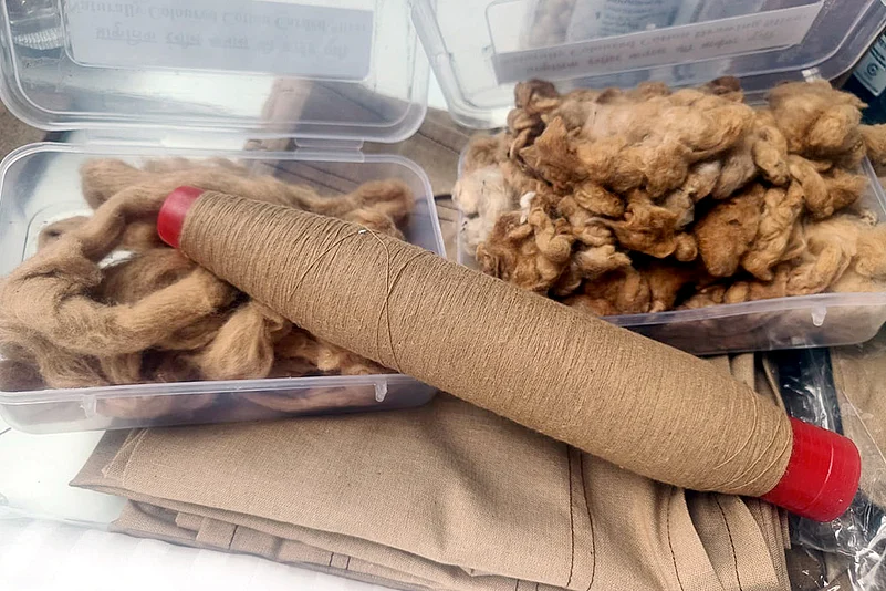 ICAR-CIRCOT processes light brown cotton