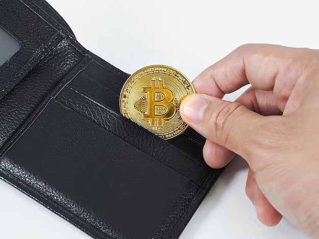 Custodial vs. Non-Custodial Wallets: A Simple Guide to Choosing