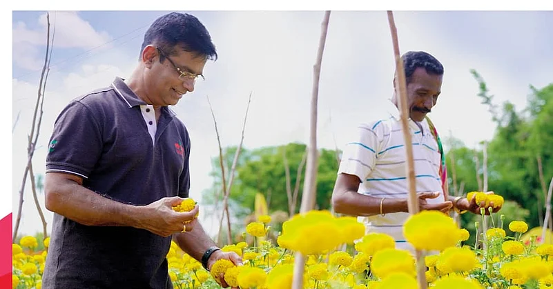 Two Men In A Flower Field