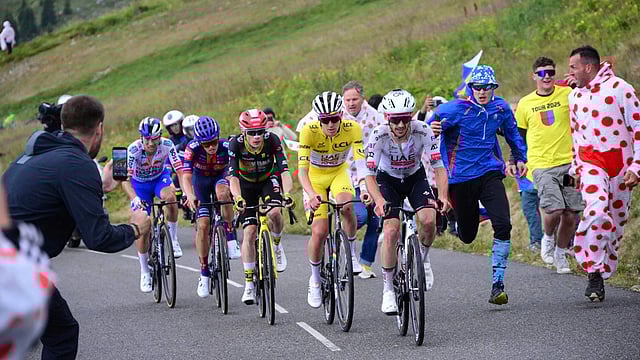 Tour De France: Culling of Infected Cows Leads To Shortened 19th Stage