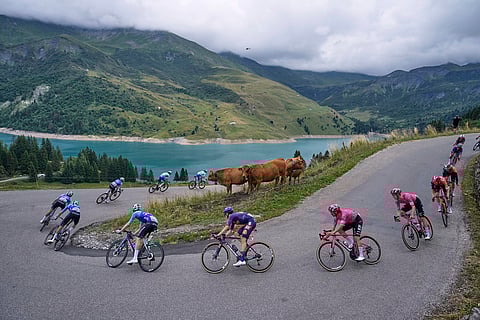 Tour De France Cycling Race: Stage 19