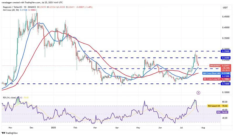 Dogecoin price chart