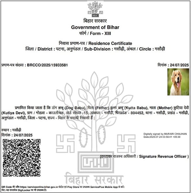 X : Dog Babu Certificate