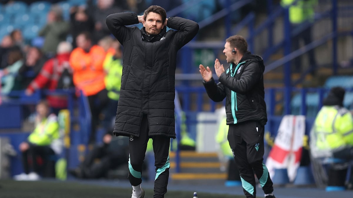 File : File photo of Danny Rohl as Sheffield Wednesday manager.