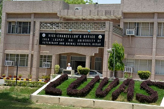 Outlook-ICARE Rankings 2025: Top 10 Veterinary Universities