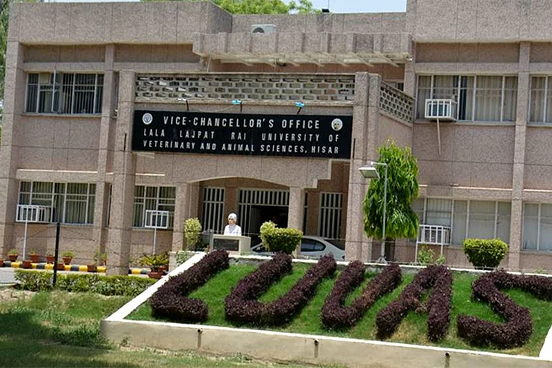 Top 10 Veterinary Universities