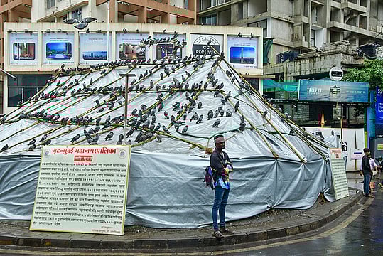 Jain Community Stages Protest Over Closure Of Dadar Kabutarkhana; Fadnavis Intervenes Amid Mounting Tensions