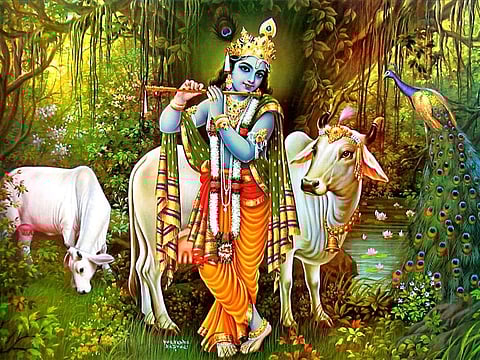 The Many Names Of Krishna: Exploring The Divine Through Devotion And Meaning