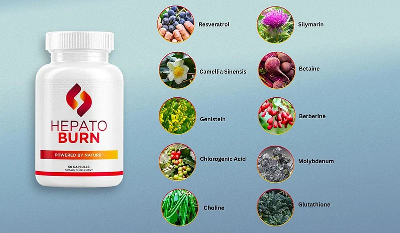 Hepato Burn Ingredients