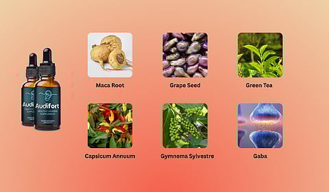 Ingredients Used In Audifort