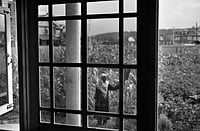 Invisible Scar: Kashmir’s Battle with Mental Health and the Missing Yasir Iqbal : Rafeeqa lives with her only son who was just a year old when her husband went missing. Her husband was a labourer and had gone out for work and never return. Rafeeq never remarried, she raised her son on her own. | Yasir Iqbal