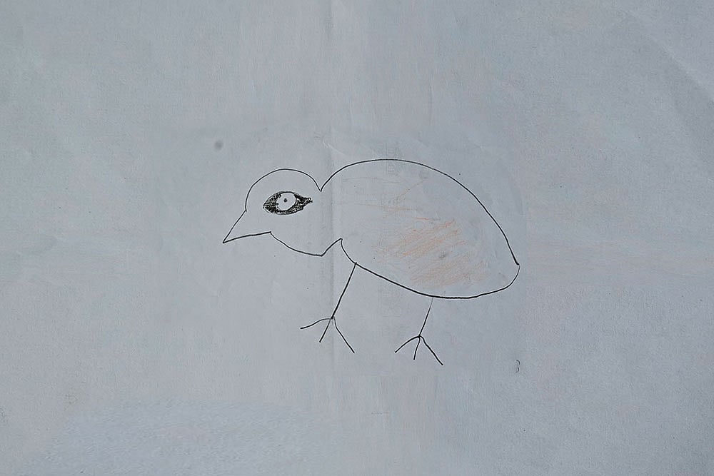 Courtesy: The Banyan  : Artwork by Mayadevi,