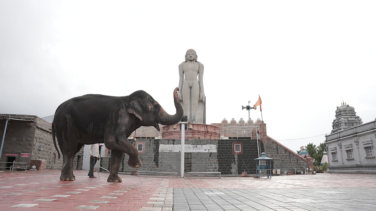 Credit: Rohit Tagwade : Madhuri in Shri Digambar Jain Atishay 