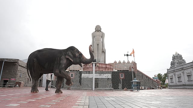 Nandini Mutt’s Elephant Madhuri To Finally Return From Vantara, But at What Cost?