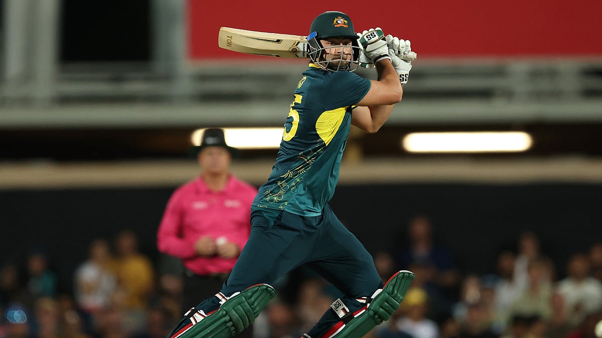 Australia vs South Africa 1st T20I: Tim David was in fine nick for Australia.