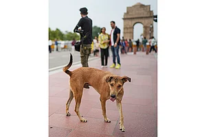 | Photo: PTI/Karma Bhutia