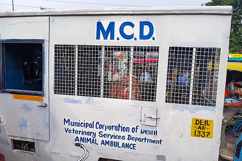 Stray dog menace in Delhi-NCR_MCD van catches stray dogs in Delhi