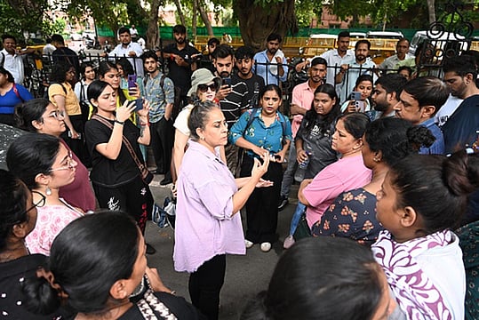 Supreme Court Directs Return Of Sterilized Stray Dogs To Original Locations