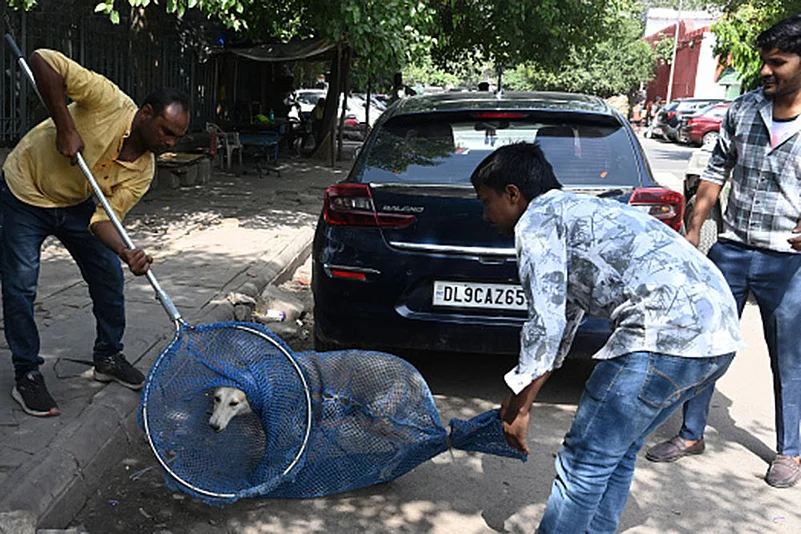 Stray dog menace in Delhi-NCR_MCD workers catches stray dogs