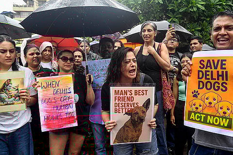 NCR stray dogs case: Protest in Mumbai