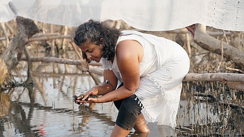 Using mangrove mud to dye gauze.