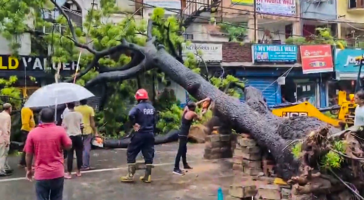 PTI photo : New Delhi: Work underway to remove an uprooted tree which fell on a motorcycle, amid rainfall, in southeast Delhi's Kalkaji area, Thursday, Aug. 14, 2025. A 50-year-old man and his daughter were critically injured in the incident, according to officials. 