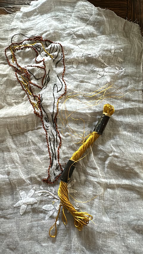 The needle’s path is never linear — it loops, crosses, and sometimes snaps. 