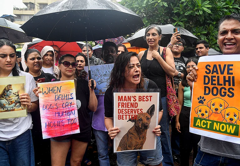 TV actor Mona Vasu, front center, and activists of various animal rights organisations protest against the recent order by the Supreme Court to authorities in Delhi-National Capital Region (NCR) to start picking up stray dogs from all localities "at the earliest" - -