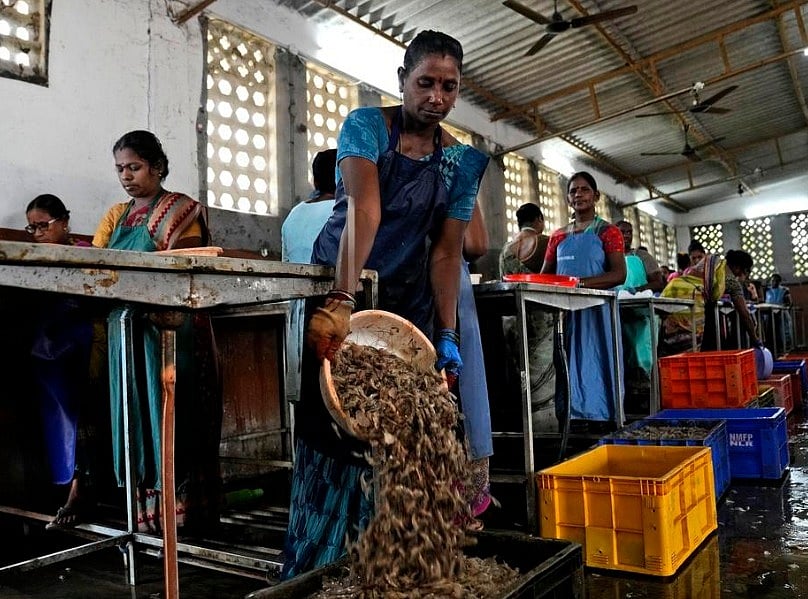 Shrimp processing in India impact of Trump tariff
