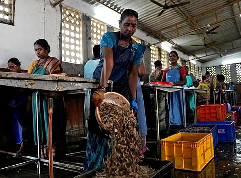 Washington’s Whim Shakes Up India’s Seafood Heartland