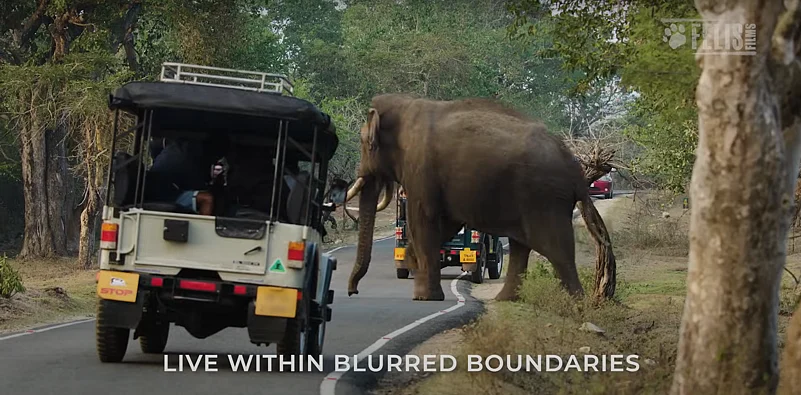 Nilgiris: A Shared Wilderness