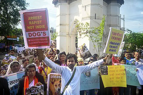 Protest against SC order on stray dogs issue