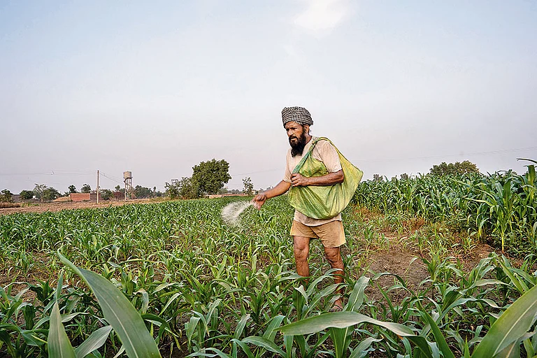 Anxious Times: A farmer at Danoda Khurd village in Jind district, Haryana - | Photo: Vikram Sharma
