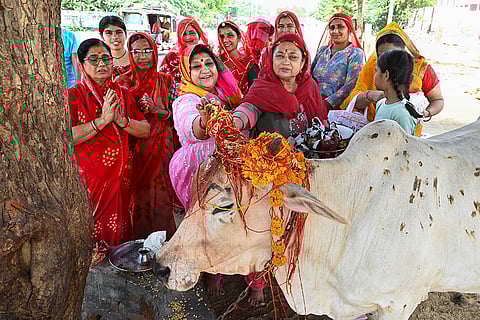 Bach Baras festival in Bikaner