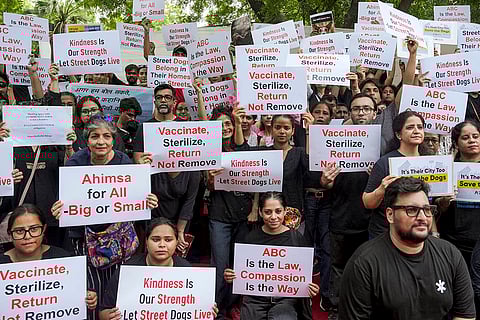 Protest against SC order on stray dogs issue