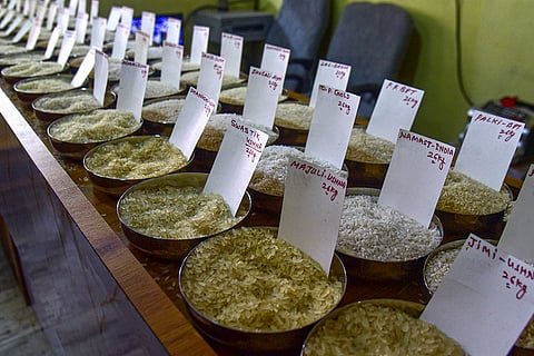 Rice prices surge as Bangladesh allows duty-free import