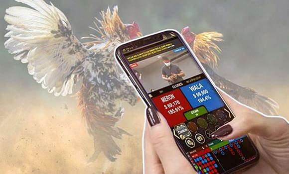 ประเภทการเดิมพันที่มีให้สำหรับการแข่งขัน ไก่ ชน