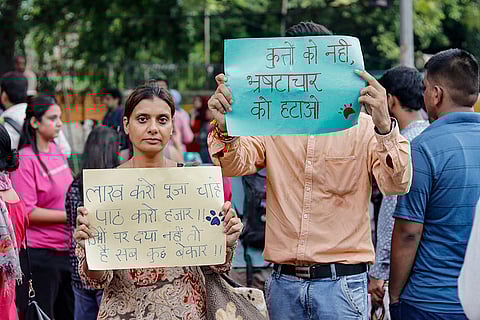 Animal lovers at Jantar Mantar in Delhi