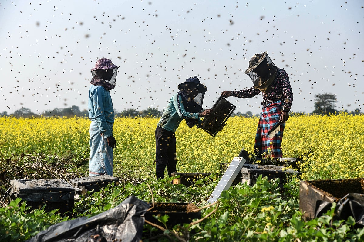 Shutterstock : Representational Image